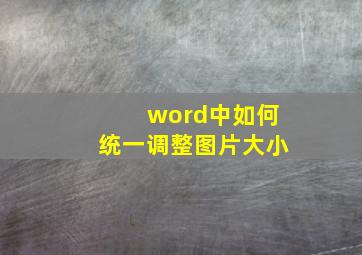 word中如何统一调整图片大小