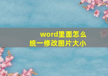 word里面怎么统一修改图片大小