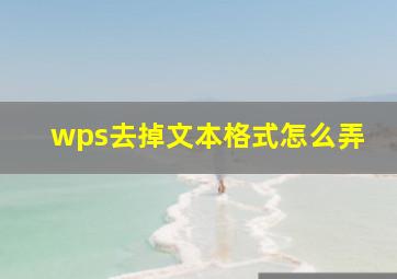 wps去掉文本格式怎么弄