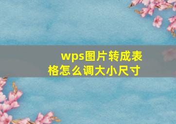 wps图片转成表格怎么调大小尺寸