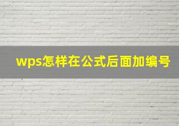 wps怎样在公式后面加编号