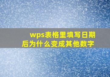 wps表格里填写日期后为什么变成其他数字