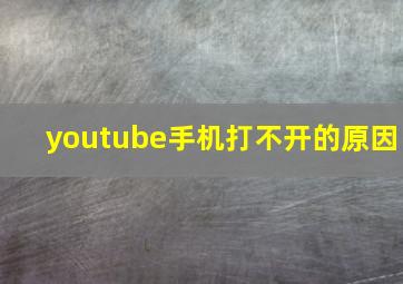 youtube手机打不开的原因