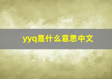 yyq是什么意思中文