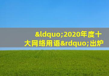 “2020年度十大网络用语”出炉