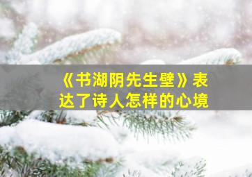 《书湖阴先生壁》表达了诗人怎样的心境