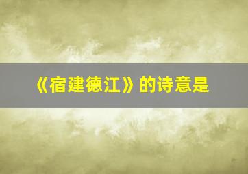 《宿建德江》的诗意是