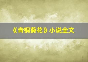 《青铜葵花》小说全文