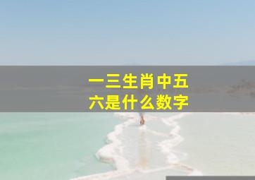 一三生肖中五六是什么数字