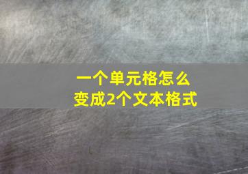 一个单元格怎么变成2个文本格式