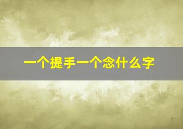 一个提手一个念什么字