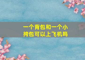 一个背包和一个小挎包可以上飞机吗