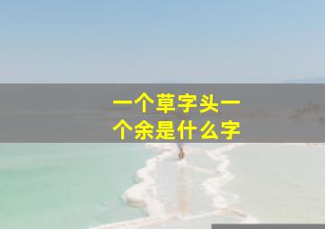 一个草字头一个余是什么字