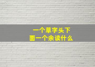 一个草字头下面一个余读什么