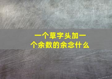 一个草字头加一个余数的余念什么