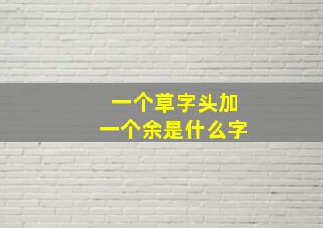 一个草字头加一个余是什么字