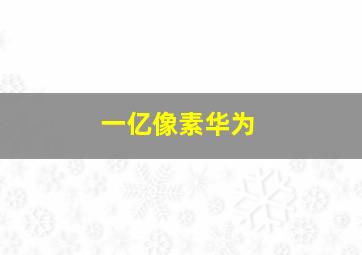 一亿像素华为