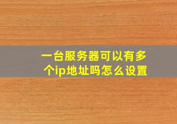 一台服务器可以有多个ip地址吗怎么设置