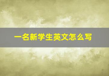 一名新学生英文怎么写