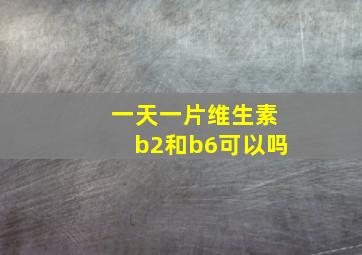 一天一片维生素b2和b6可以吗