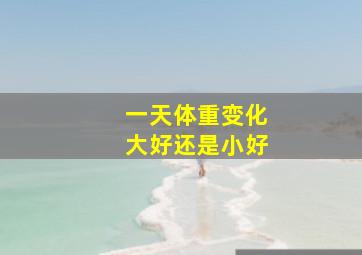 一天体重变化大好还是小好