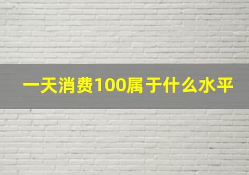 一天消费100属于什么水平