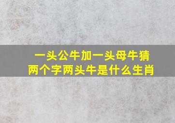 一头公牛加一头母牛猜两个字两头牛是什么生肖