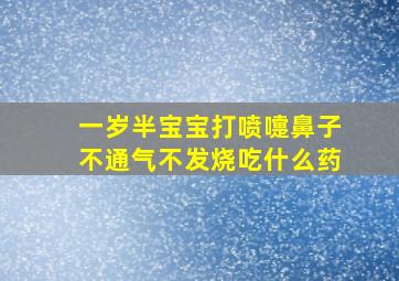 一岁半宝宝打喷嚏鼻子不通气不发烧吃什么药