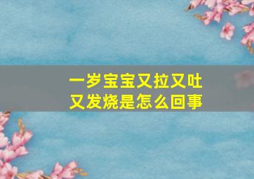 一岁宝宝又拉又吐又发烧是怎么回事