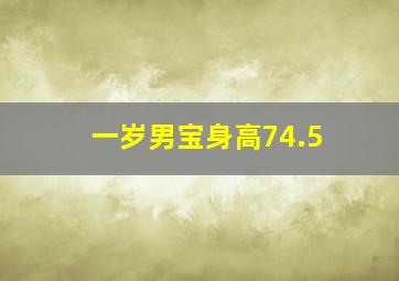 一岁男宝身高74.5