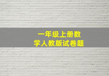 一年级上册数学人教版试卷题