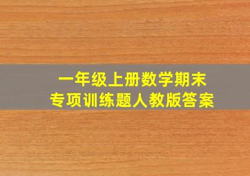 一年级上册数学期末专项训练题人教版答案