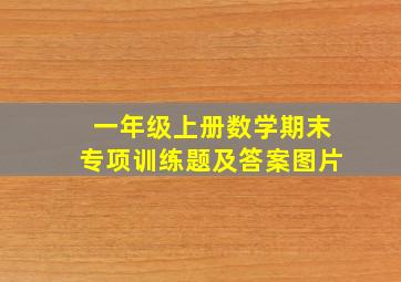 一年级上册数学期末专项训练题及答案图片