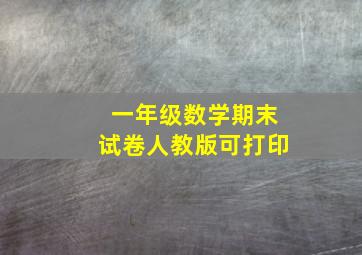 一年级数学期末试卷人教版可打印