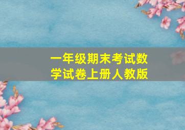 一年级期末考试数学试卷上册人教版