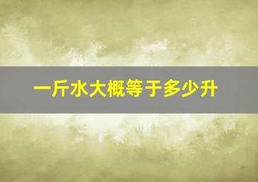 一斤水大概等于多少升