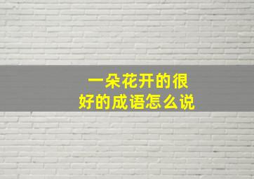 一朵花开的很好的成语怎么说