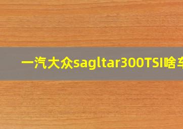 一汽大众sagltar300TSI啥车