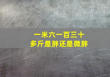 一米六一百三十多斤是胖还是微胖