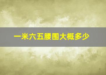 一米六五腰围大概多少