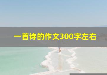 一首诗的作文300字左右