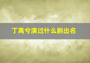 丁禹兮演过什么剧出名