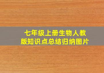 七年级上册生物人教版知识点总结归纳图片