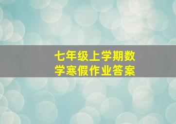 七年级上学期数学寒假作业答案