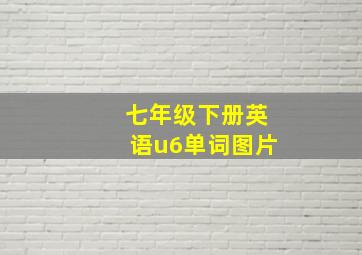 七年级下册英语u6单词图片