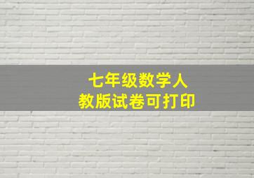 七年级数学人教版试卷可打印