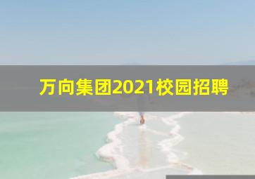 万向集团2021校园招聘