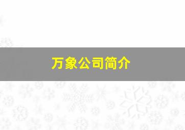 万象公司简介