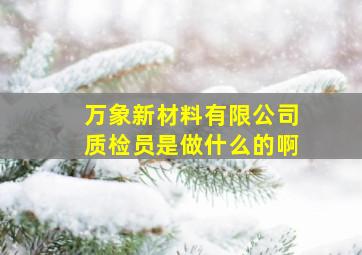 万象新材料有限公司质检员是做什么的啊