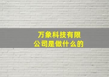 万象科技有限公司是做什么的